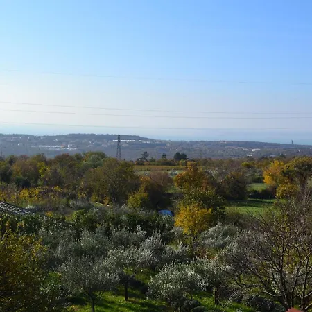 Terra Del Carso San Pelagio