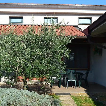 Apartament Terra Del Carso San Pelagio