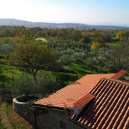 Terra Del Carso Apartament San Pelagio